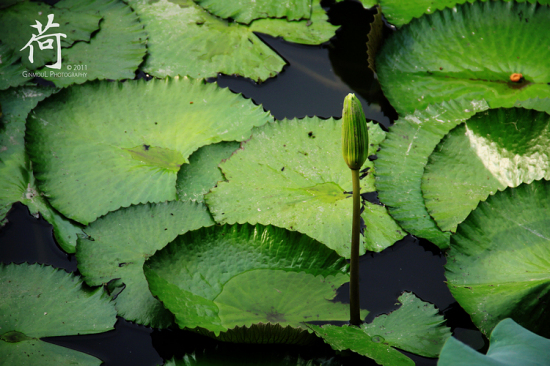 ��.�󞳺�-ֲ�ﻨ��