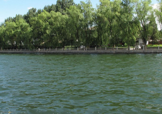 ʲɲ�� ����-��������