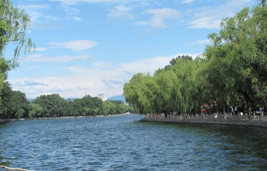 ʲɲ�� ����-��������