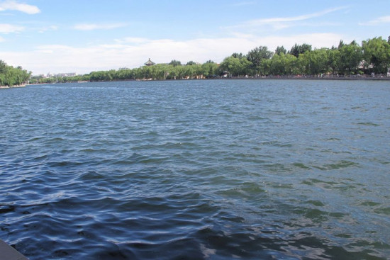 ʲɲ�� ����-��������