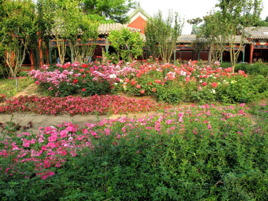 ʲɲ�� ����-��������