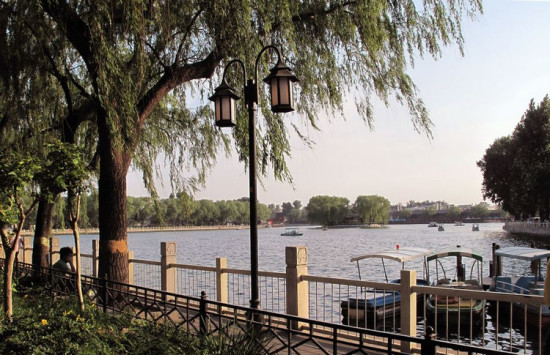 ʲɲ�� ����-��������