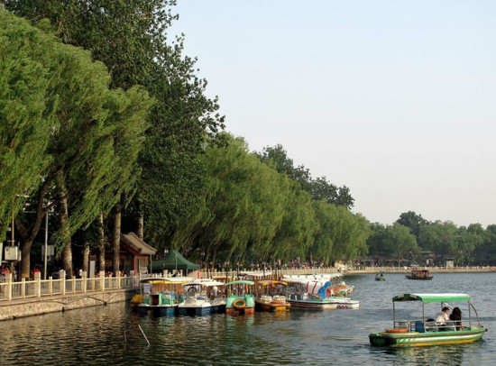 ʲɲ�� ����-��������