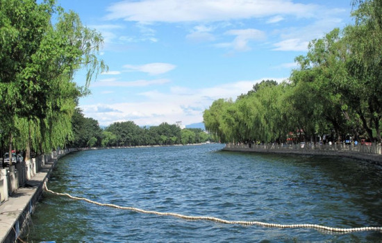 ʲɲ�� ����-��������