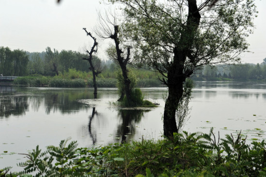 ��ɽ����С��-��Ȼ�羰