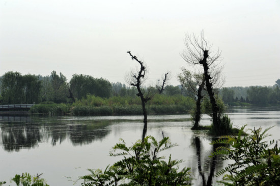 ��ɽ<span class=lxw>[ע: ��ɽλ�ڱ�γ39��30��~39��55�䣬����115��25��~116��15�䣬������ƽԭ��̫��ɽ����ش��������ͱ�����ɽ�ء����꣬�������ϲ�Ϊ��Ұƽԭ��]</span>����С��-��Ȼ�羰