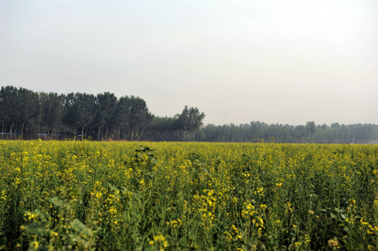 ��ɽ����С��-��Ȼ�羰