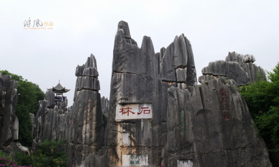 ���������ۻ���1����ʯ��-���ϵ���