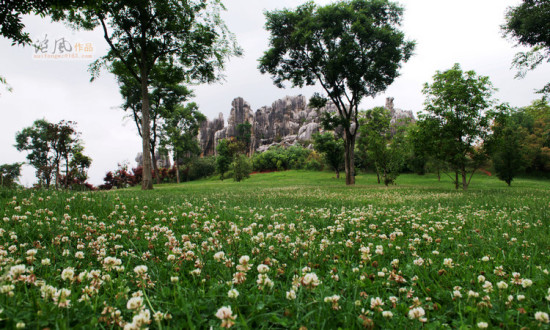 ���������ۻ���1����ʯ��-���ϵ���