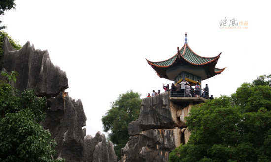 ���������ۻ���1����ʯ��-���ϵ���