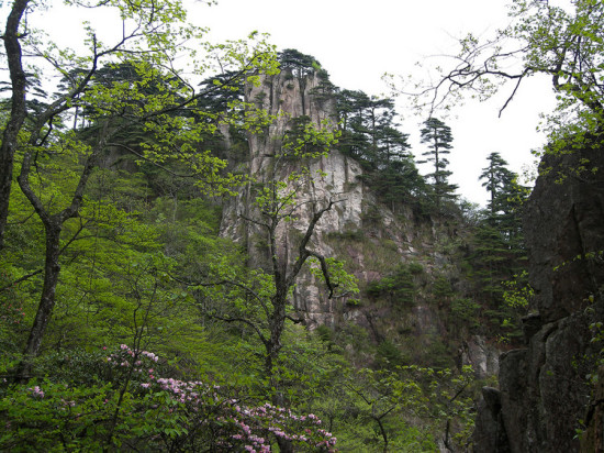 ʼ�ōo�ĸ�ɽ�ž�-ֲ�ﻨ��