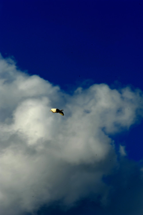 ��ׯˮ��С��-��Ȼ�羰