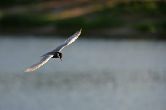 ��ׯˮ��С��-��Ȼ�羰