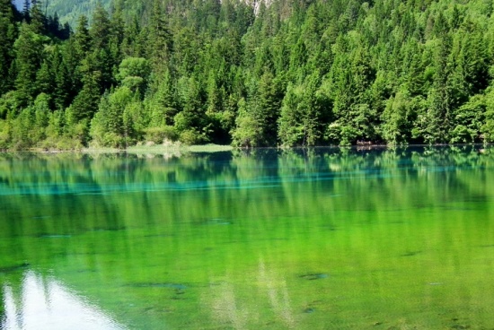 ��ʺ���-���ϵ���