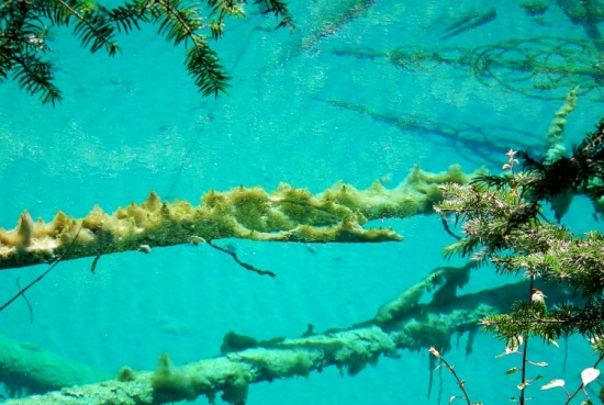 ��ʺ���-���ϵ���