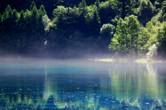 ��ʺ���-���ϵ���