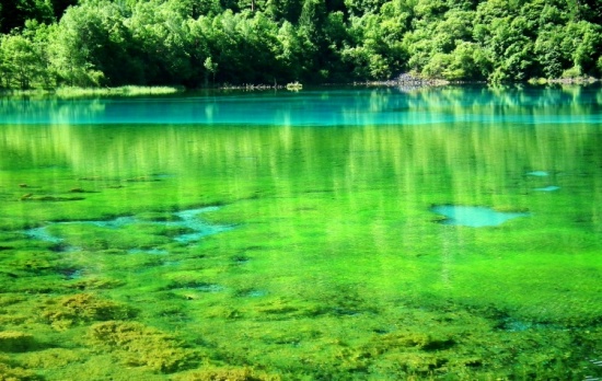 ��ʺ���-���ϵ���