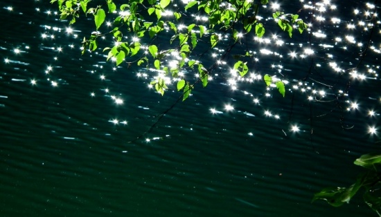 ��ʺ���-���ϵ���