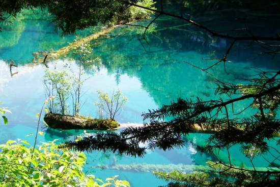 ��ʺ���-���ϵ���