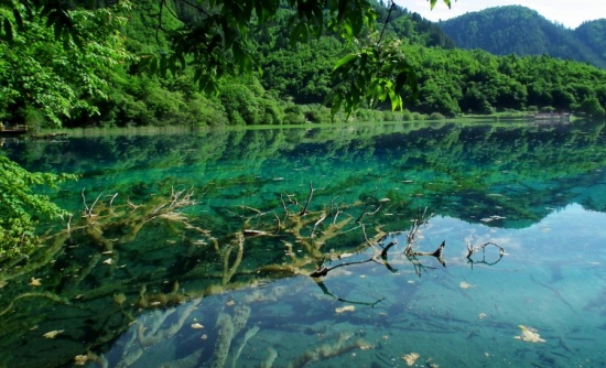 ��ʺ���-���ϵ���