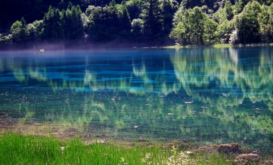 ��ʺ���-���ϵ���