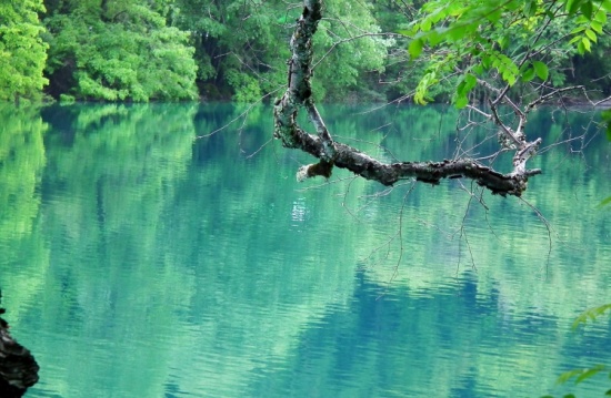 ��ʺ���-���ϵ���