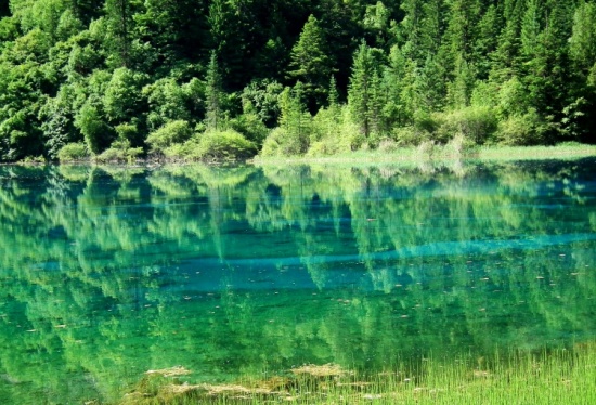 ��ʺ���-���ϵ���