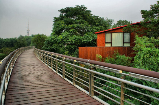 ����Ȫ�ǹ�԰������-������Ӱ