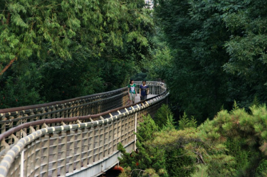 ����Ȫ�ǹ�԰������-������Ӱ