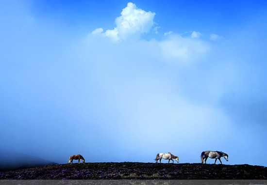 ��ԭ���-��Ȼ�羰