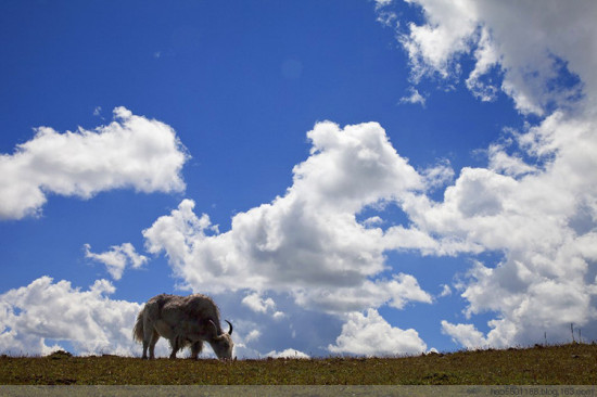 ��ԭ���-��Ȼ�羰