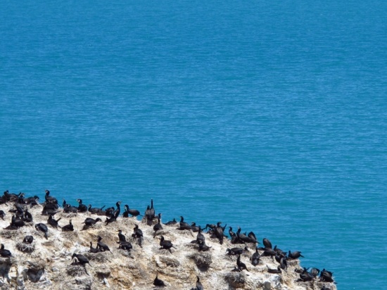 �ຣ��<span class=lxw>[ע: �ຣ������������׶������������ɫ�ĺ���֮�⡣ϵ������ɽ�Ĵ�ͨɽ������ɽ���ຣ��ɽ֮��Ķϲ������γɡ���λ���ຣʡ���������ຣ������ڣ����й�������½��������ˮ����]</span>������Ʈ�������-��������