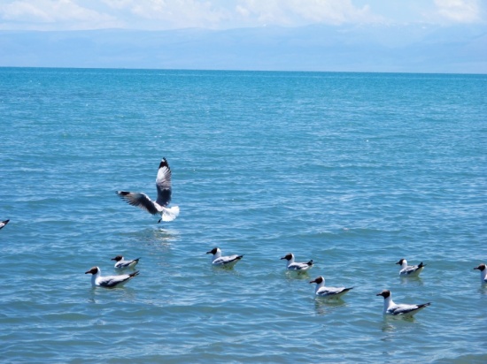 �ຣ��������Ʈ�������-��������