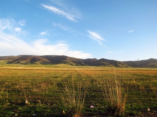 �ຣ��������Ʈ�������-��������