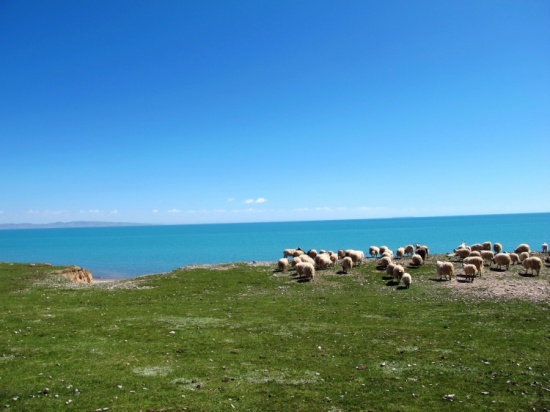 �ຣ��������Ʈ�������-��������