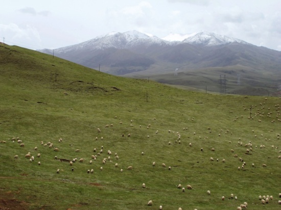 ����ɽ��һ���޼ʵ���Ұ��ã-��Ȼ�羰