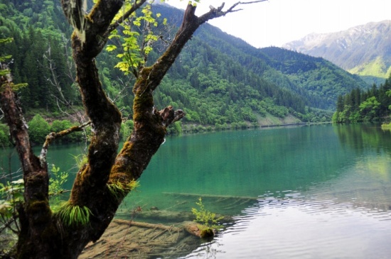 ���ξ�կ��-���ϵ���