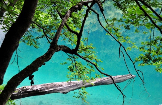 ���ξ�կ��-���ϵ���