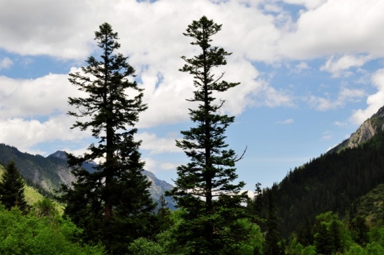 ���ξ�կ��-���ϵ���