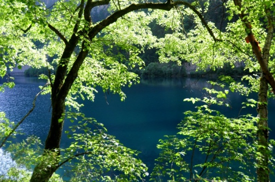 ���ξ�կ��-���ϵ���