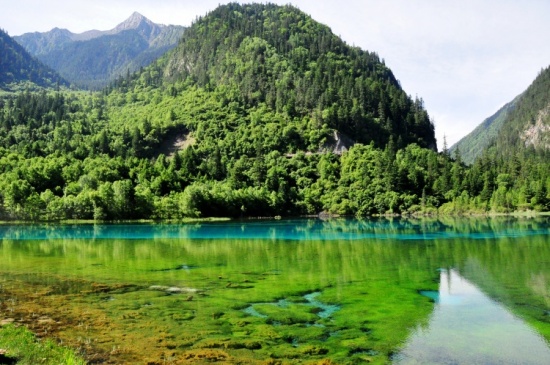 ���ξ�կ��-���ϵ���