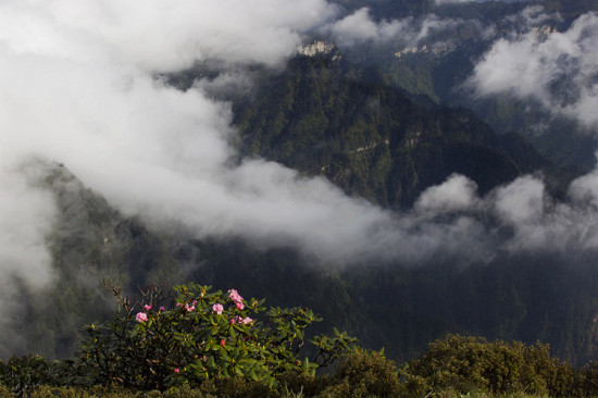 ţ��ɽ�ƺ�-��Ȼ�羰