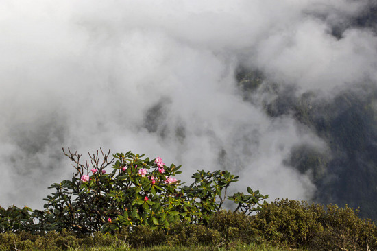 ţ��ɽ�ƺ�-��Ȼ�羰