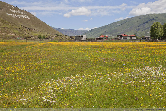 ���ղ�ԭ��ʢ��-��Ȼ�羰