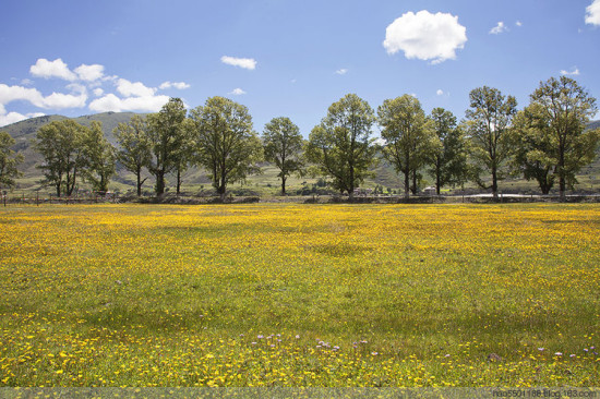 ���ղ�ԭ��ʢ��-��Ȼ�羰