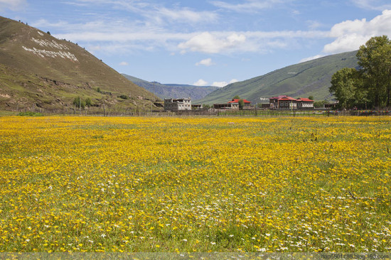 ���ղ�ԭ��ʢ��-��Ȼ�羰