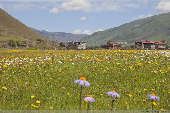 ���ղ�ԭ��ʢ��-��Ȼ�羰