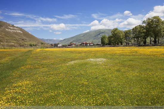 ���ղ�ԭ��ʢ��-��Ȼ�羰