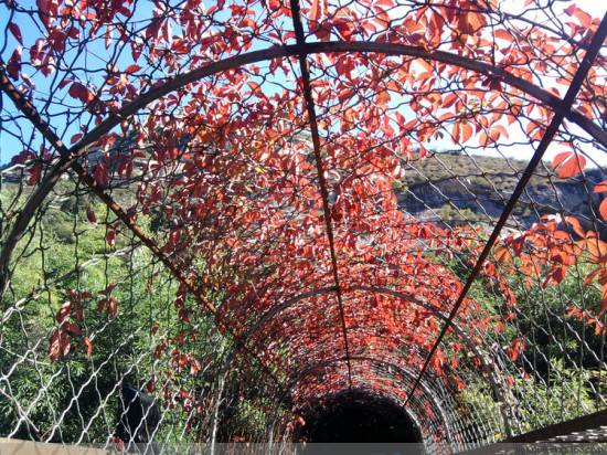 ����Ͽ-��Ȼ�羰