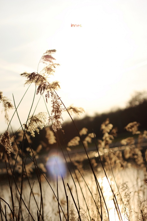 ���� «έ-ֲ�ﻨ��